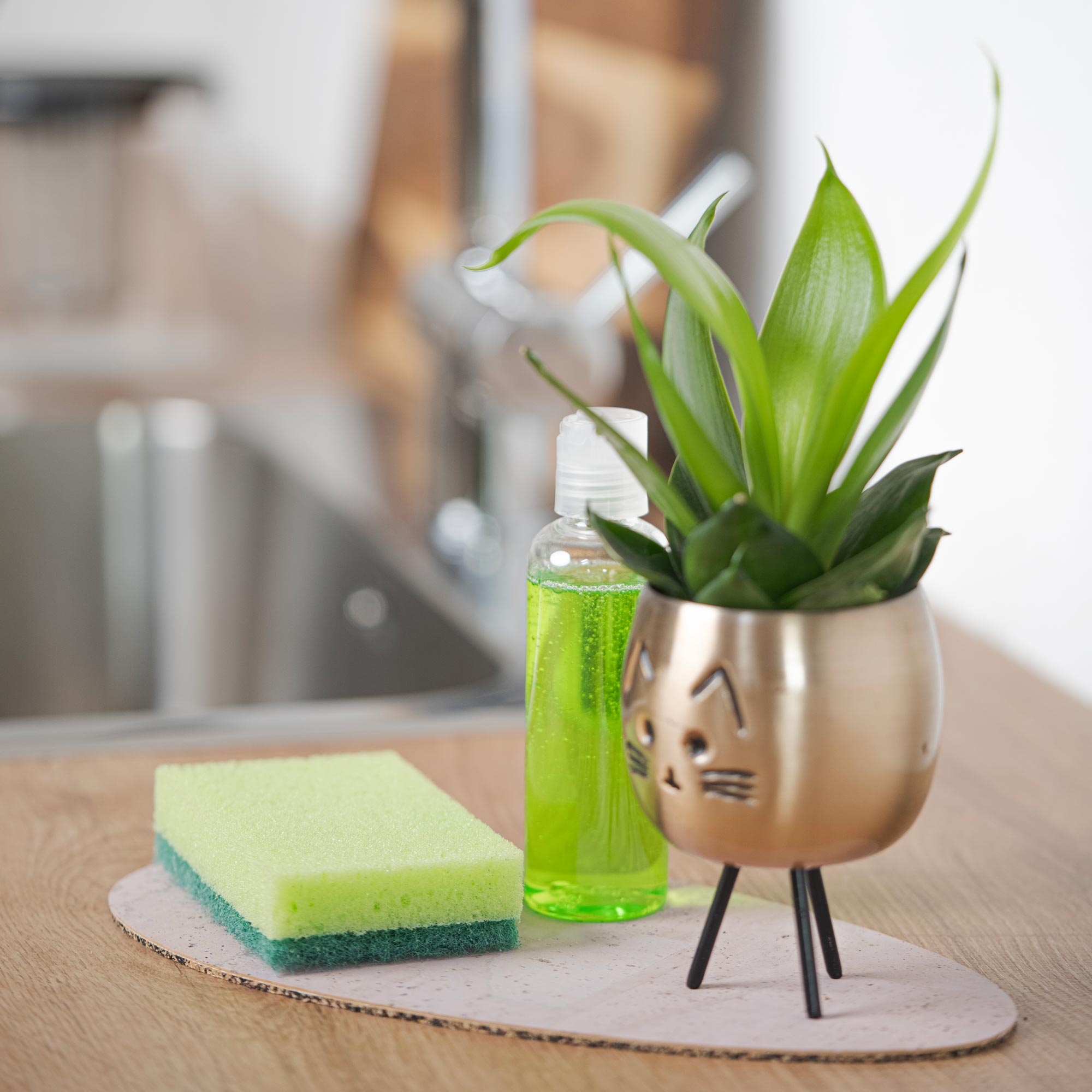 Cork dessert coasters